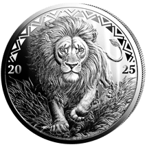 1 Unze Silber African Animals Löwe 2025 (Auflage: 5.000 | Polierte Platte)