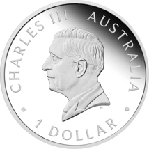 1 Unze Silber Perth Mint Schwan 2025 ANDA Show Special (Auflage: 2.500 | Polierte Platte)
