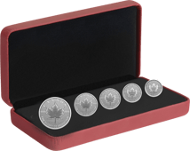 5 Münzen Silber Maple Leaf Fractional Set 2021 (Auflage: 3.000)