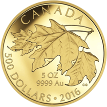 5 Unze Gold Maple Leaf 2016 PP (99 Exemplare)