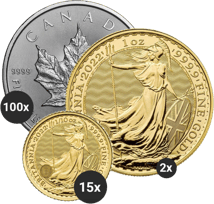 VIP-Krisenvorsorge S (Gold und Silber)