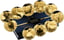 Gold The Big Five of Europe Set