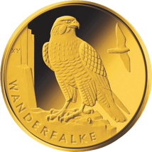 1/8 Unze Gold 20 Euro Wanderfalke 2019 (Heimische Vögel)