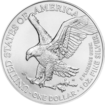 40 x 1 Unze Silber American Eagle 2024 (Typ II)