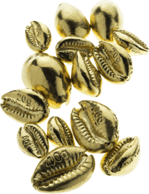 40g Gold Cowrie Muschelbarren