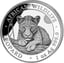 1 Unze Silber African Wildlife Leopard 2025 (Auflage: 30.000)