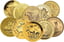 10 x 1 Unze Gold Investorenpaket "Rund um die Welt"